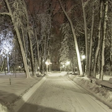 Парк Циолковского, Снегопад