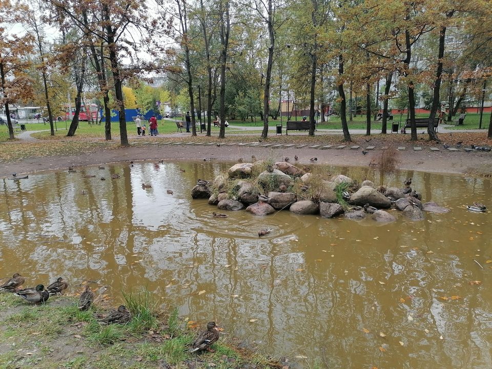 Общество, сквер Содружества