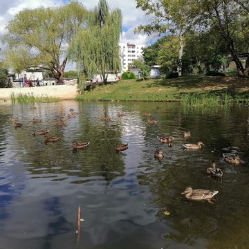 Общество