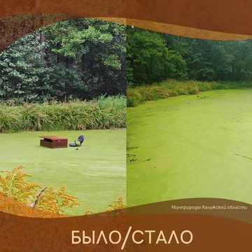 Общество