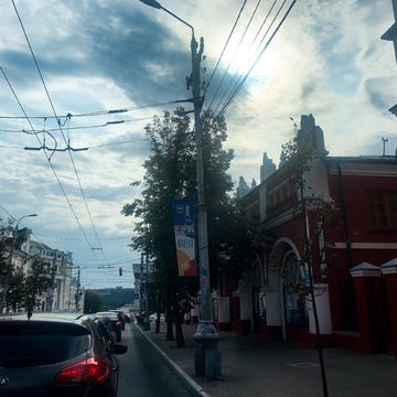 Общество