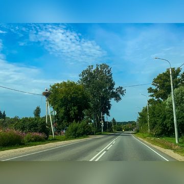 Общество