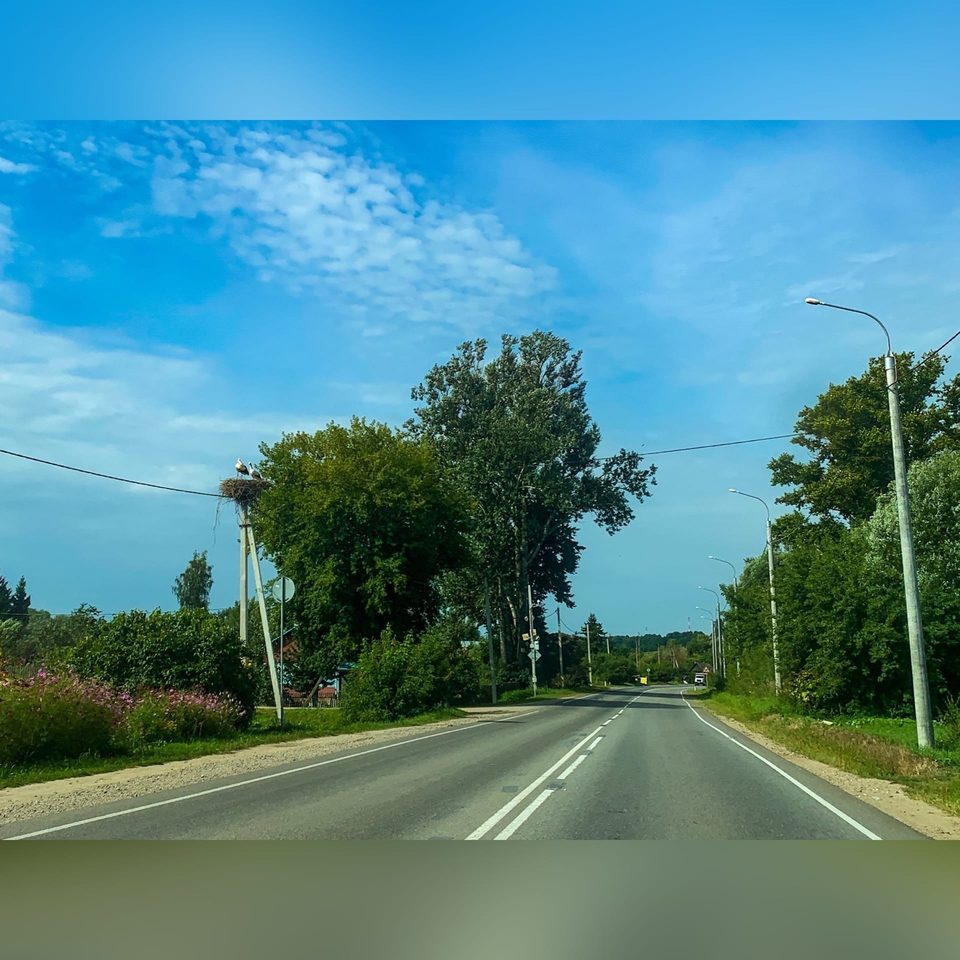 Общество