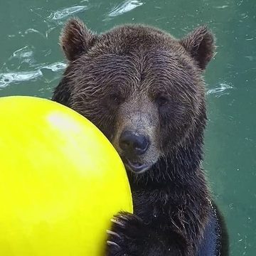 Общество