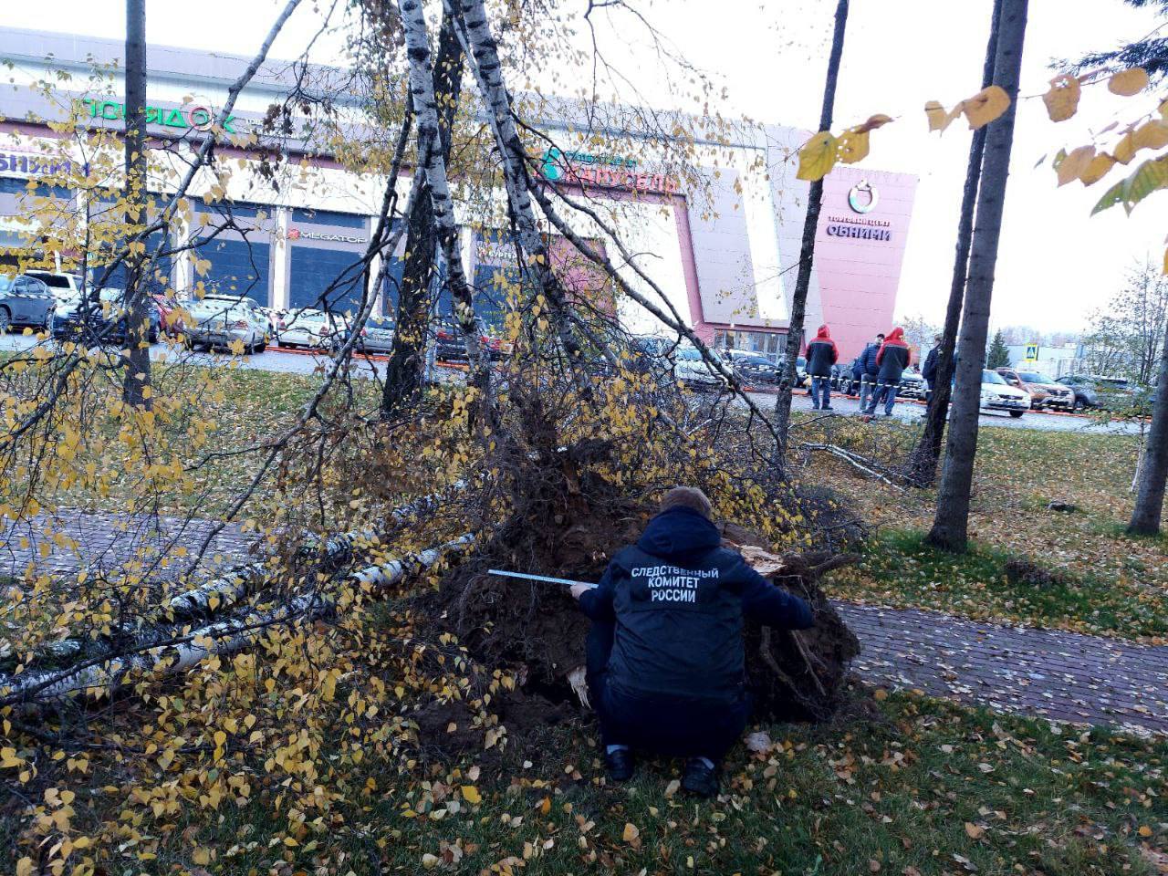 На парня упало дерево. Сильный ветер. В Обнинске дерево упало на детей. Дерево в больнице.