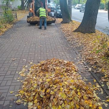 Общество, Дмитрий Денисов