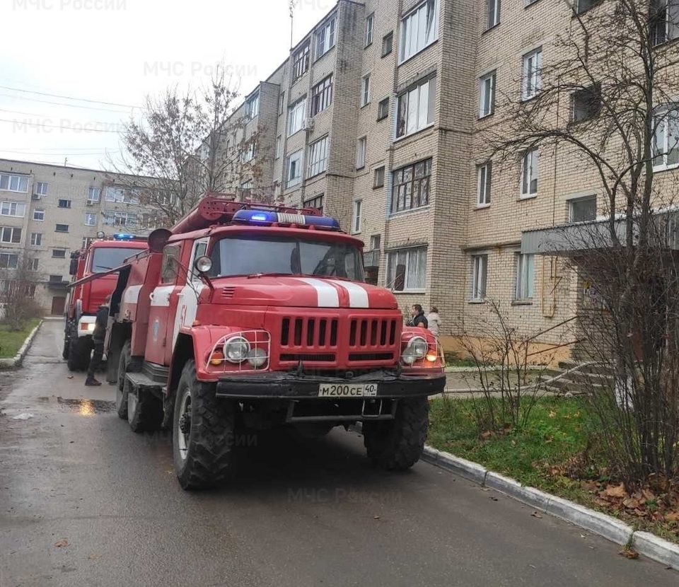 Общество, Пожар, Происшествия, Жуковский район, МЧС