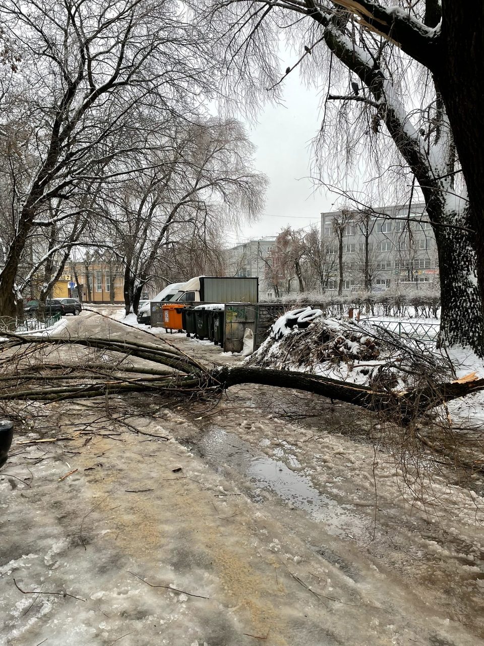 Гололед, Общество