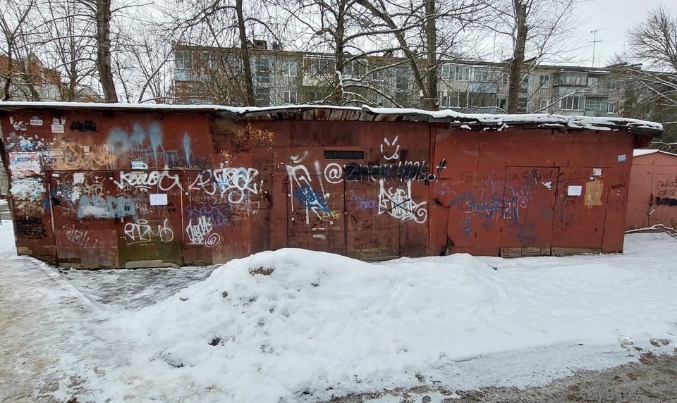 Общество