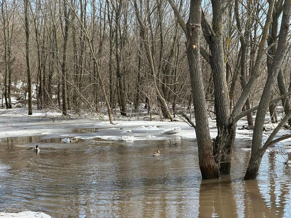 Уровень воды в реке Ока Калуга - актуальные данные, графики, прогнозы