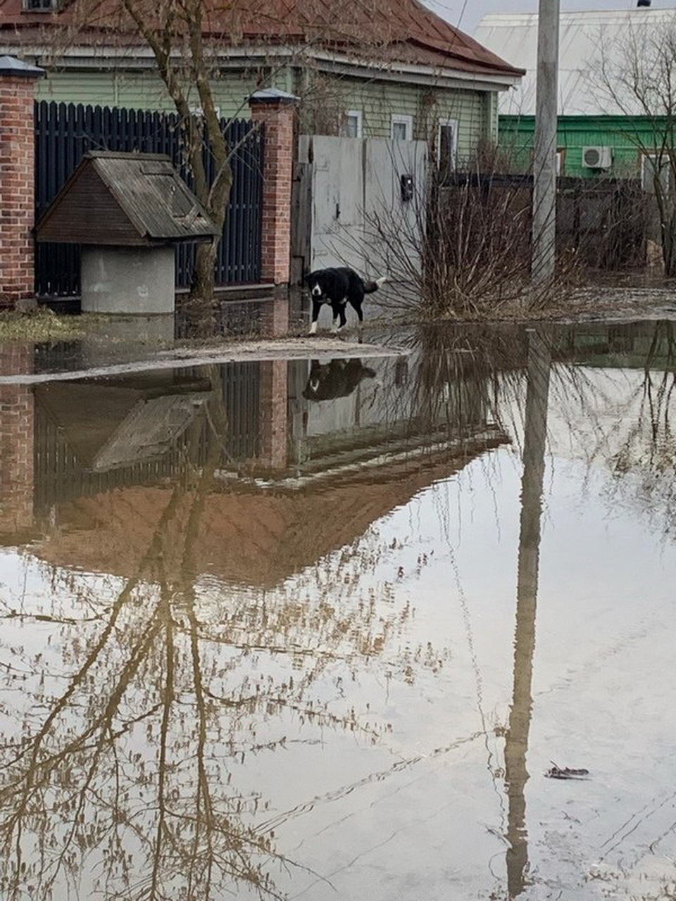 Уровень воды в жиздре козельск сегодня. Потопы в Козельске. Разлив Жиздры в Козельске в 2023. Калуга затопление. Козельск затопило.