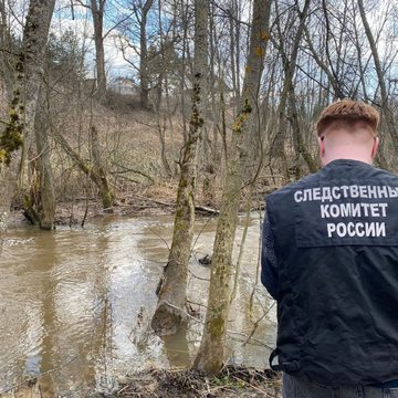 Происшествия, Боровский район, Следственный комитет