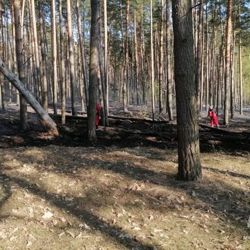 Пожар, Происшествия, МЧС