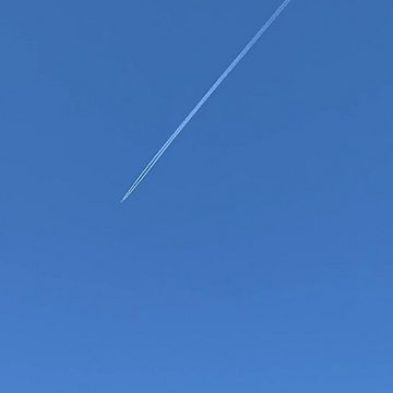 Происшествия