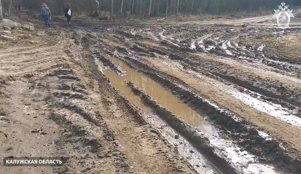 Общество, Следственный комитет