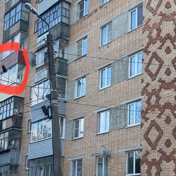 Общество