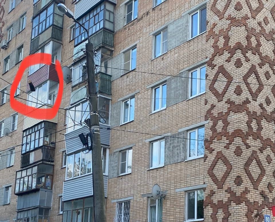 Общество