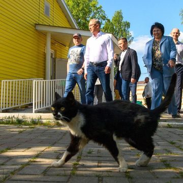 Дети, Общество, Отдых, Владислав Шапша