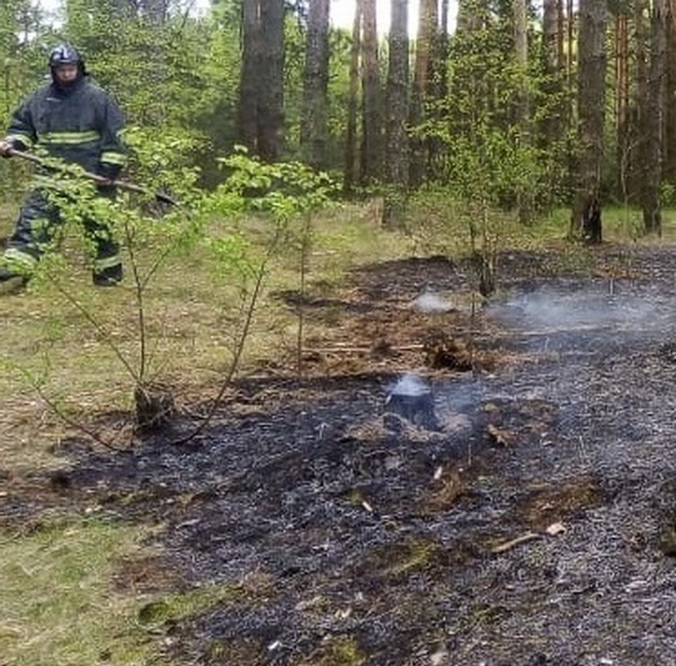 Пожар, Происшествия, МЧС, Перемышльский район