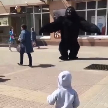 Происшествия