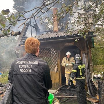 Пожар, Происшествия, Боровский район, Следственный комитет