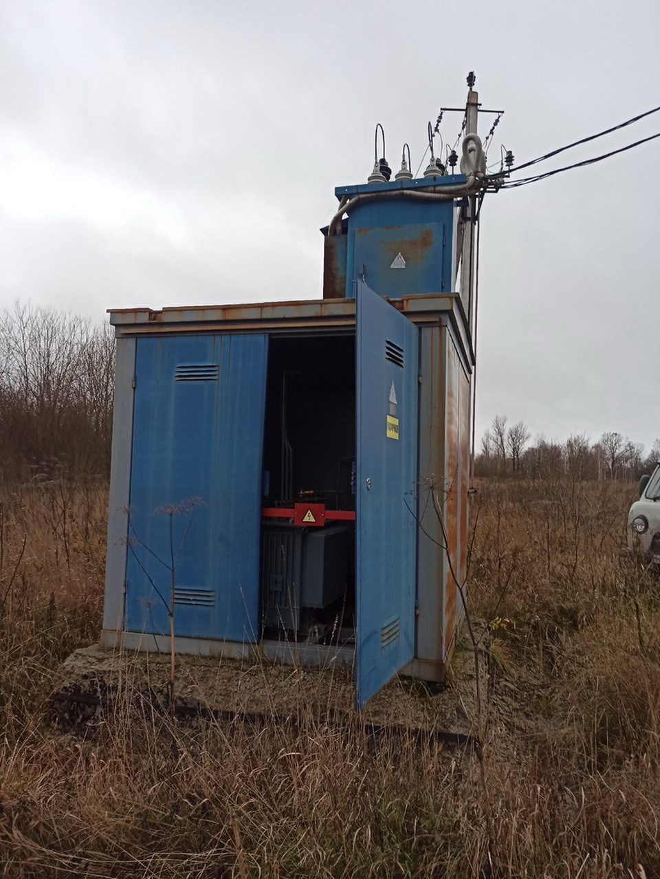 Нескольких собак убило током в пригороде Калуги – Калуга 24