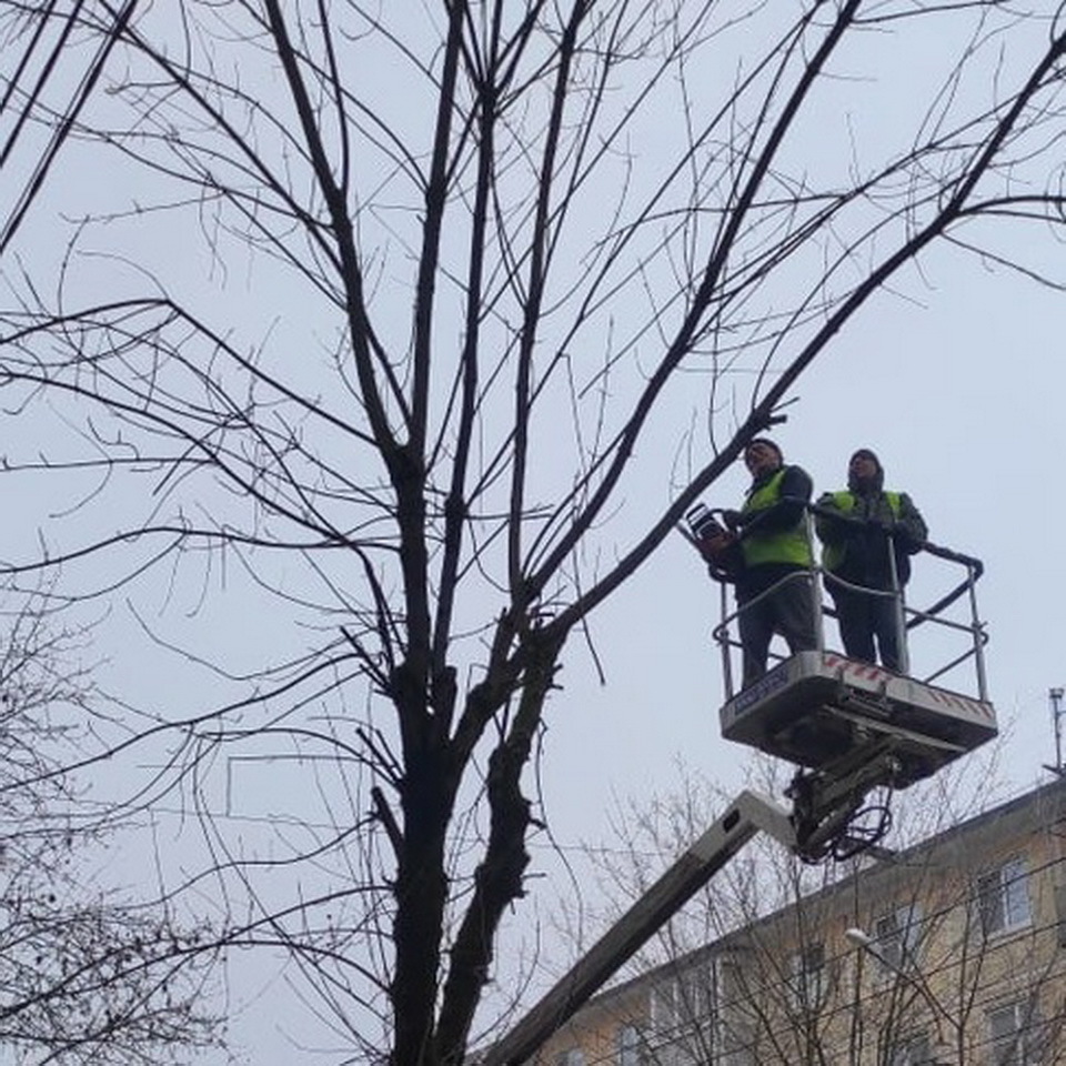 Благоустройство города, Общество