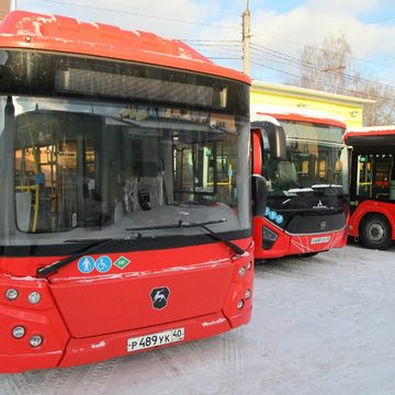 Общественный транспорт, Общество, Дмитрий Денисов