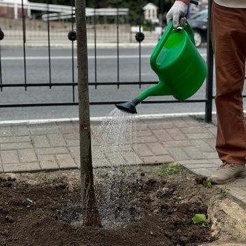 Общество, Озеленение города, Дмитрий Денисов