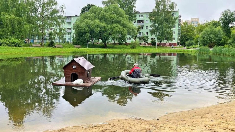 Животные, Общество