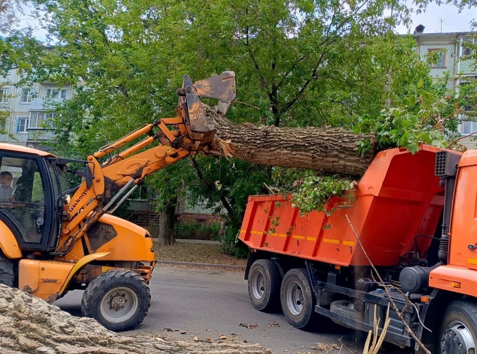 Благоустройство города, Общество