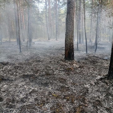 Пожар, Происшествия, Дзержинский район, МЧС