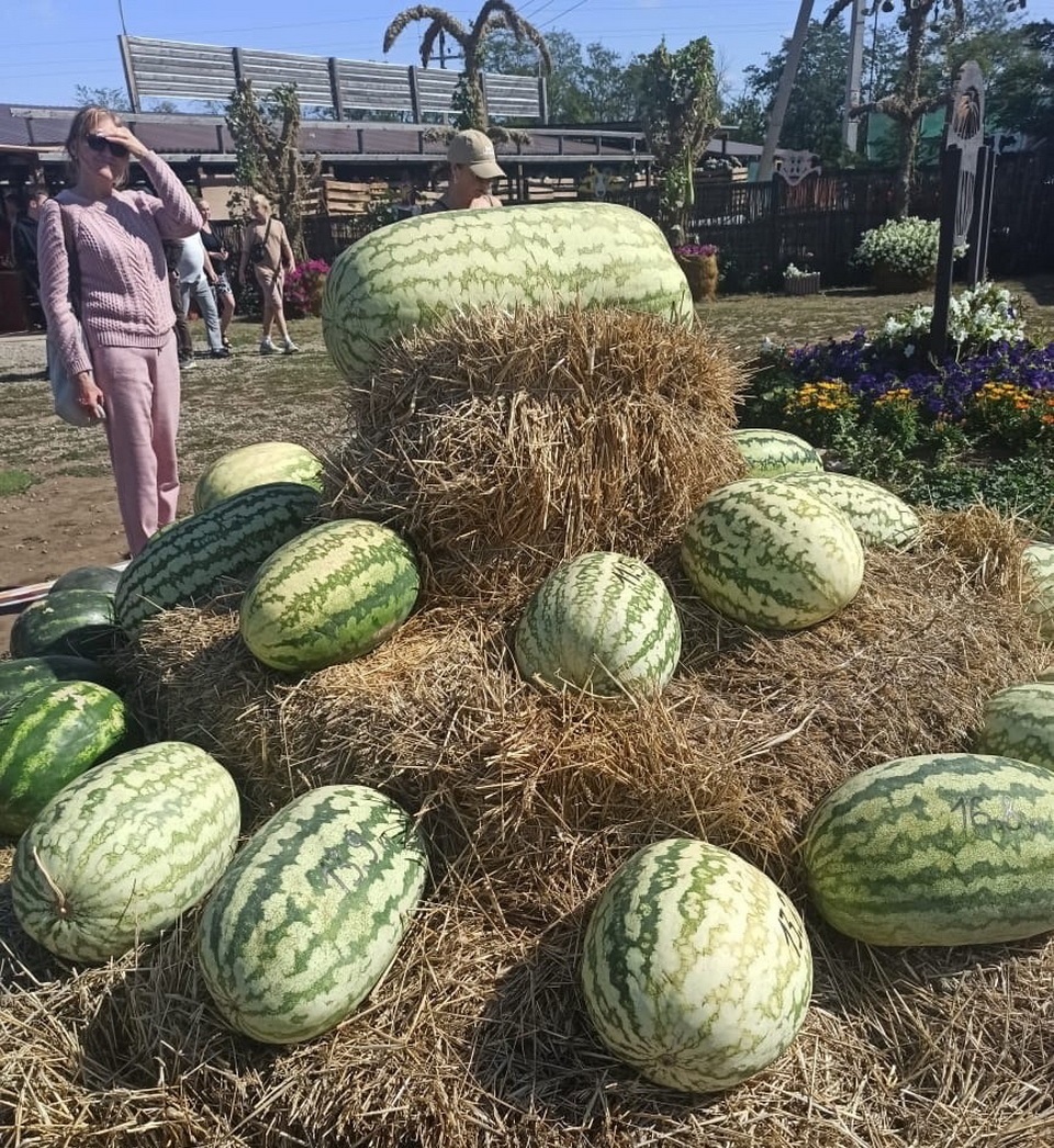 Общество, Сельское хозяйство