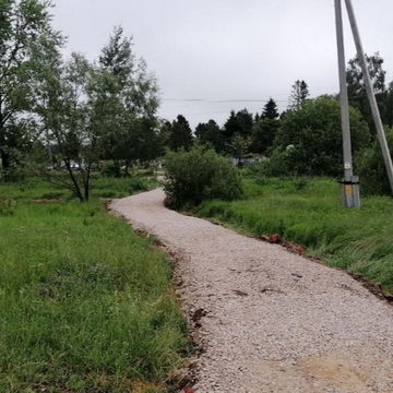 Военная операция на Украине, Общество