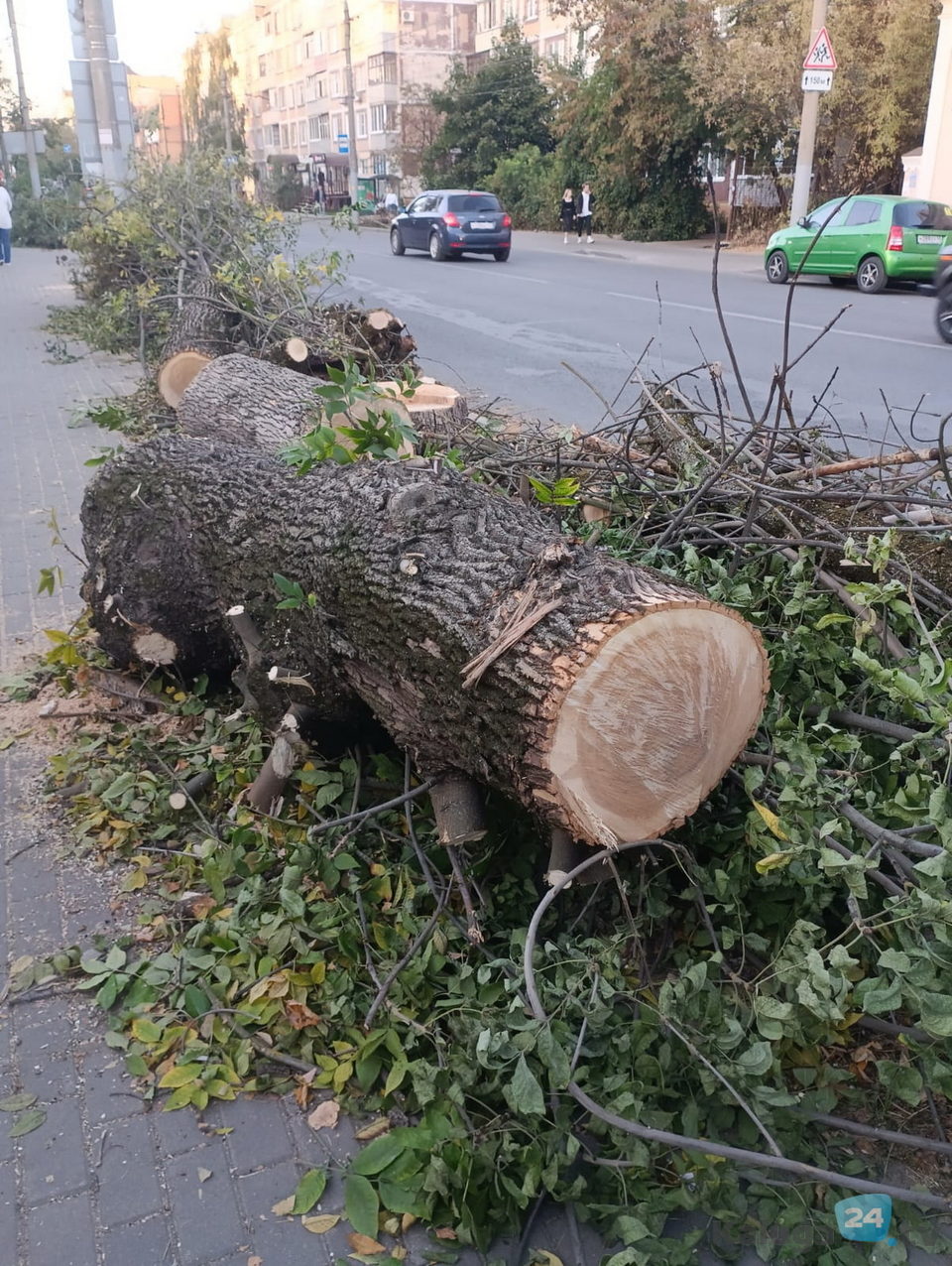 Благоустройство города, Общество