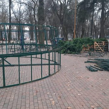 Новогодняя елка, Новый год, Общество