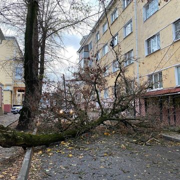 Общество, Отключение электричества, Погода