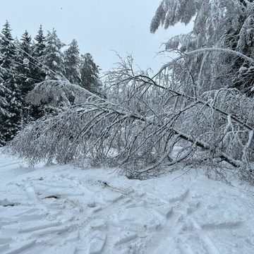 Общество, Отклю, Отключение электричества, Погода, Происшествия