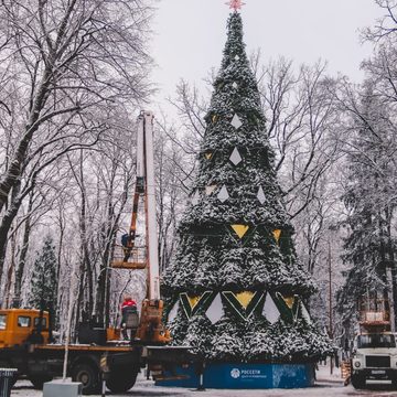 Новогодняя елка, Общество, Украшение города, Дмитрий Денисов, Парк культуры и отдыха