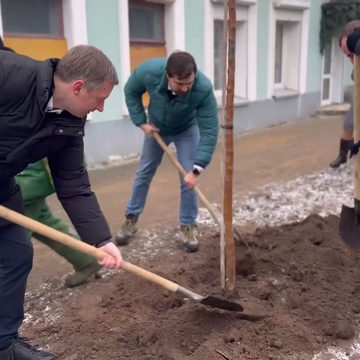 Общество, Озеленение города