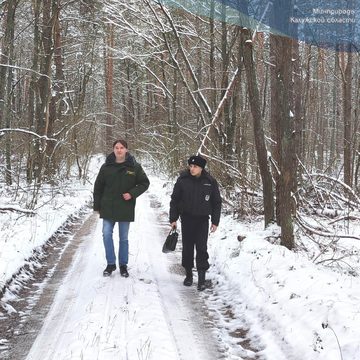 Новый год, Общество