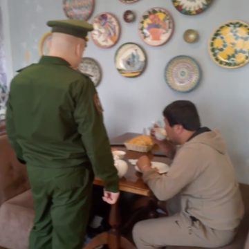 Мигранты, Общество