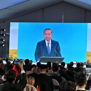 Инвестиции, Сельское хозяйство, Экономика, Боровский район