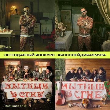 Музыка, Фестивали, Фестиваль Дикая Мята