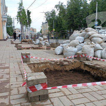 Общество, Озеленение города