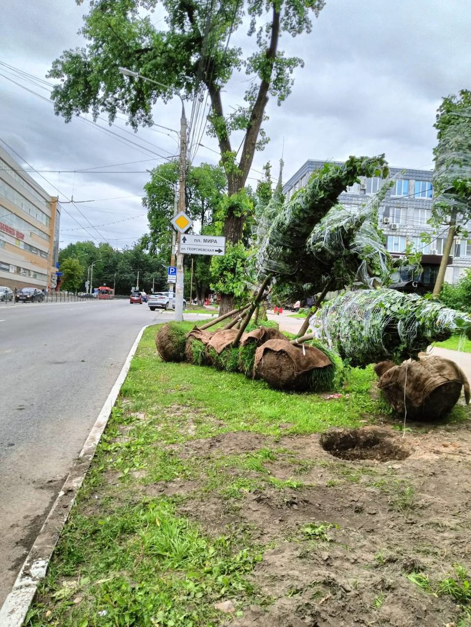 Общество, Озеленение города