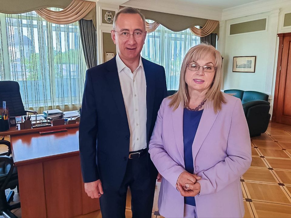 Выборы, Общество, Элла Памфилова, ЦИК