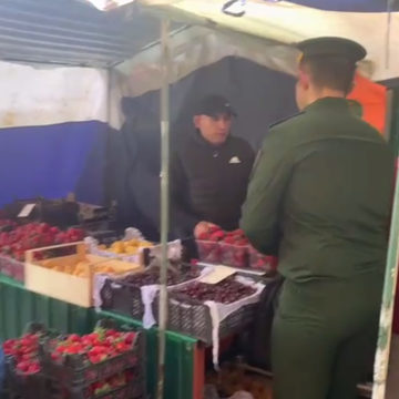 Мигранты, Общество