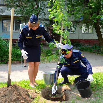 Общество, Озеленение города, Судебные приставы
