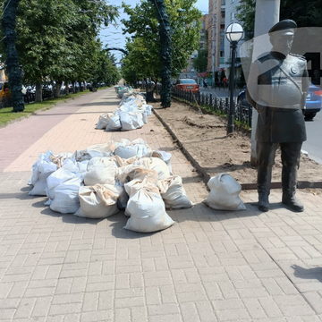 Общество, Озеленение города